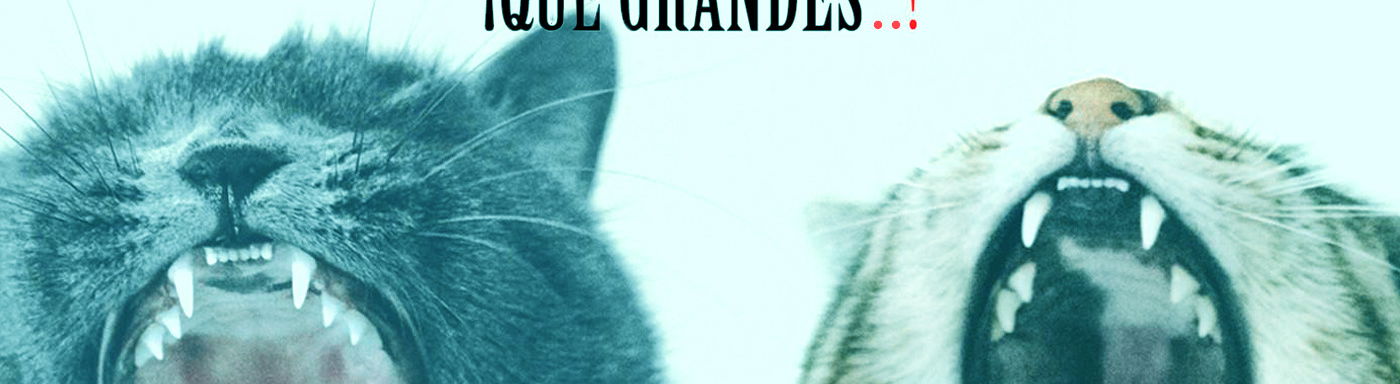 ¡Qué grandes....!