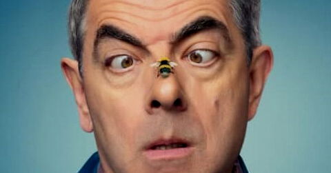 "Todos los chistes tienen una víctima". "Esa es la definición de un chiste: hacer parecer ridículo a alguien, algo o una idea" - Rowan Atkinson
