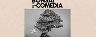 Bonsái: un show de comedia