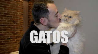 GATOS | Pantomima Full