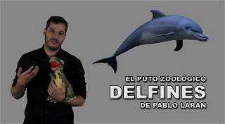 Delfines | El maldito zoológico de Pablo Larán
