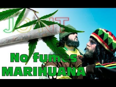 No fumes marihuana | Joint (El niño de la hipoteca ft. Loulogio)