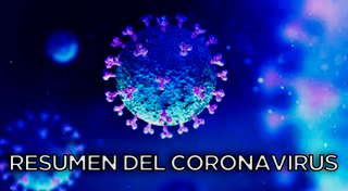 RESUMEN DEL CORONAVIRUS